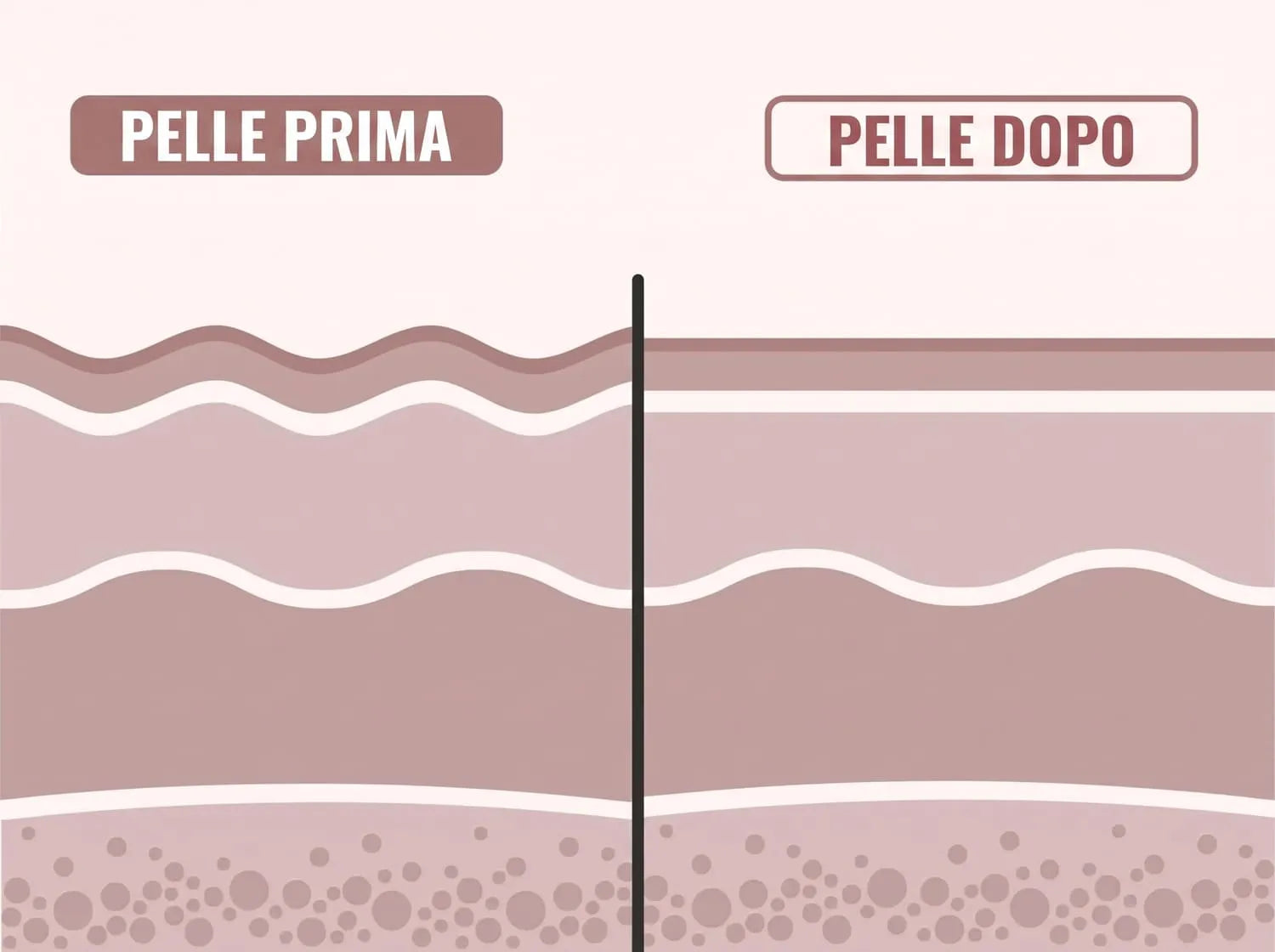 Image de la section